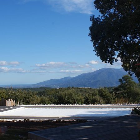 Mas La Marchette Bed & Breakfast Céret Dış mekan fotoğraf
