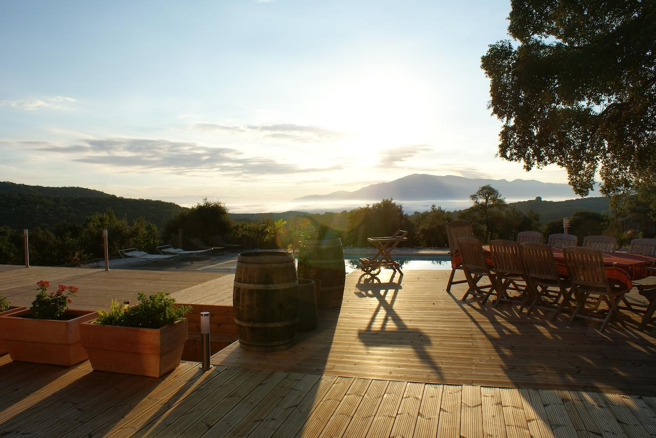 Mas La Marchette Bed & Breakfast Céret Dış mekan fotoğraf