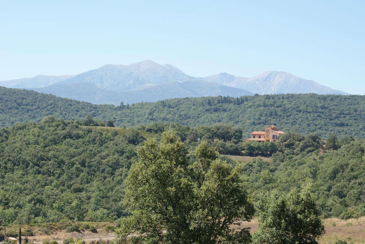Mas La Marchette Bed & Breakfast Céret Dış mekan fotoğraf