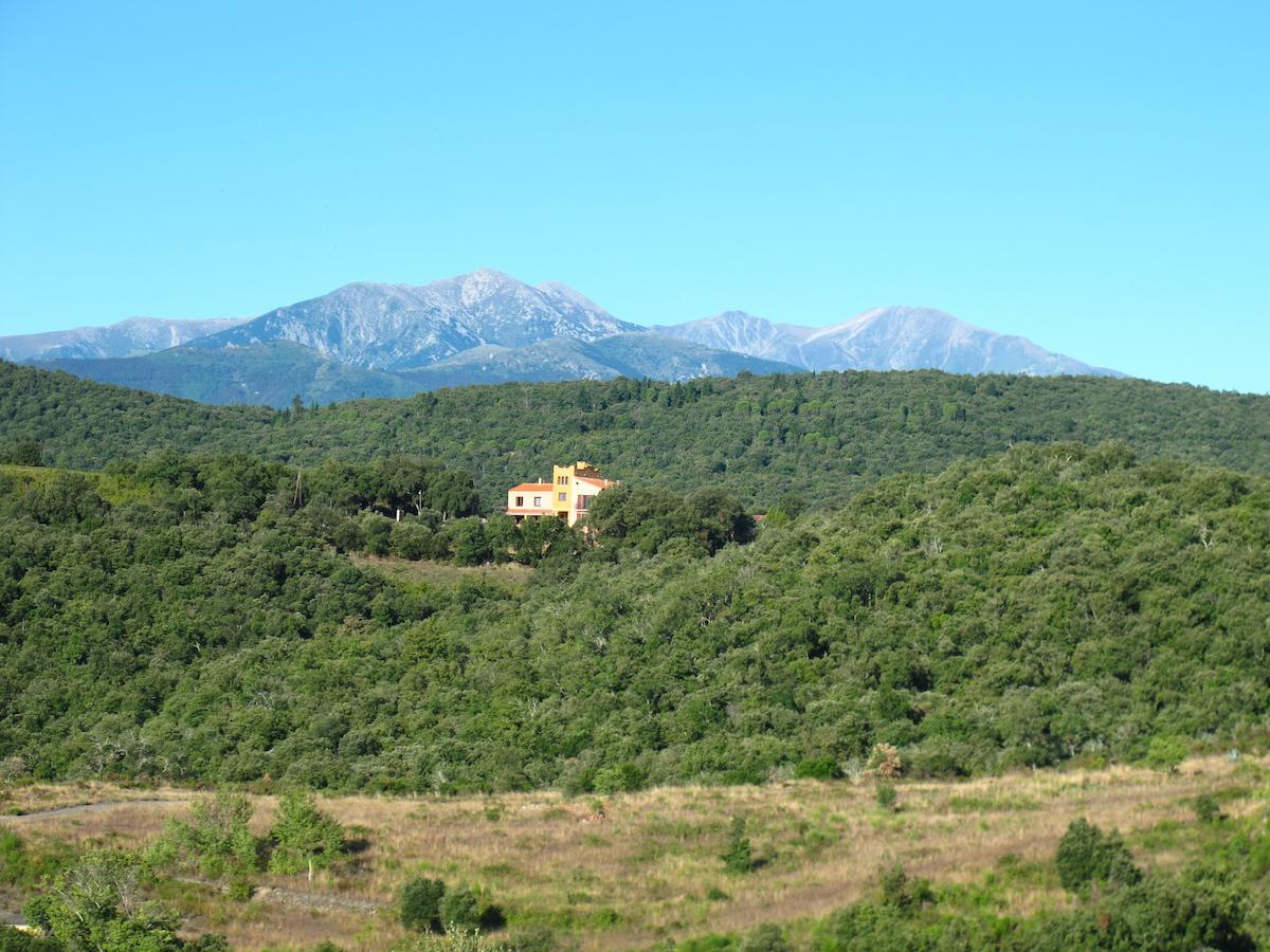 Mas La Marchette Bed & Breakfast Céret Dış mekan fotoğraf