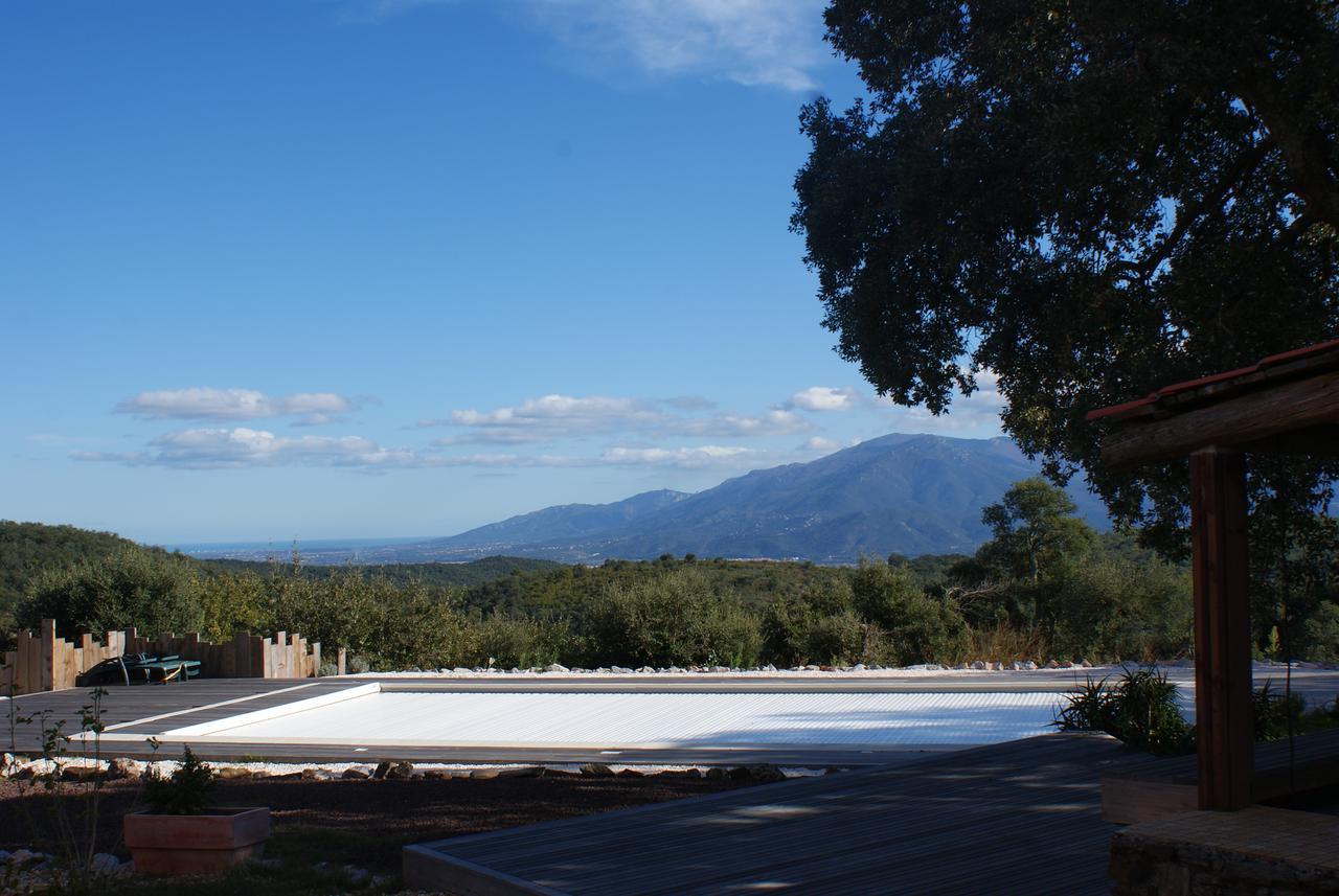 Mas La Marchette Bed & Breakfast Céret Dış mekan fotoğraf